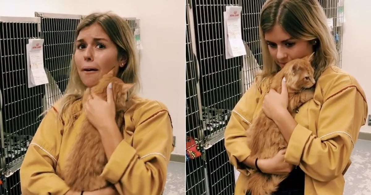 Video of Shelter Cat Hugging His New Owner on TikTok